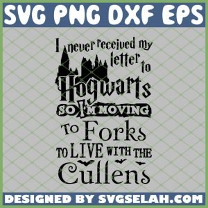 Harry Potter Castle I Never Received My Letter To Hogwarts SVG, PNG ...