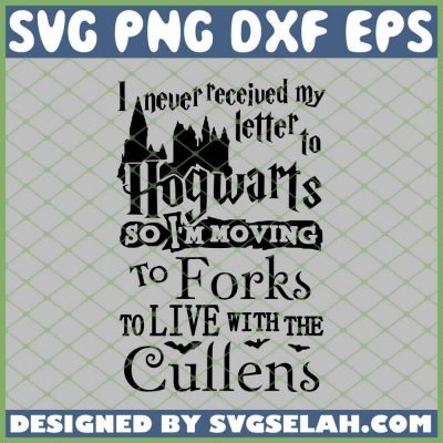 Harry Potter Castle I Never Received My Letter To Hogwarts SVG, PNG ...