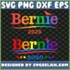 Bernie 2020 Rainbow Gay Lgbt Bird Bernie Sanders SVG PNG DXF EPS 1