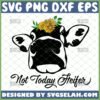 not today heifer svg cow face with sunflower svg