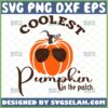 coolest pumpkin in the patch svg