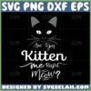 are you kitten me right meow svg cute face cat svg